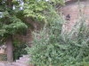 DSCN4304