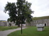 DSCN4306