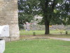 DSCN4310