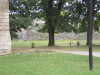 DSCN4316