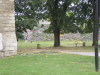 DSCN4317