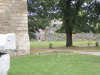 DSCN4319