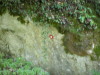 DSCN4597