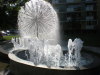 DSCN4811