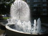 DSCN4813