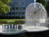 DSCN4814