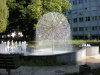 DSCN4816