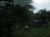 DSCN4940