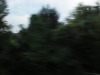 DSCN4941