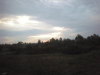DSCN4970