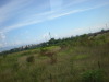 DSCN5006