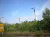 DSCN5008