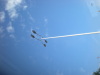 DSCN5013