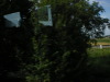 DSCN5016