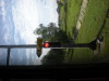 DSCN5018