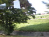 DSCN5019