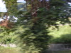 DSCN5020