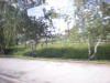 DSCN5022