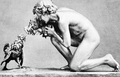 Cockfight by Sophie Debry - left side, black and white