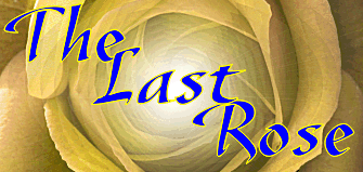 The Last Rose