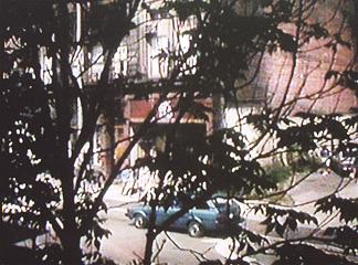 The One of a Kind store through the trees