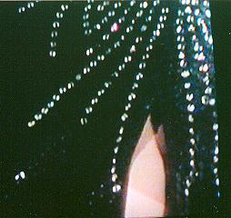 Brenda modeling the sequined dress