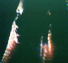 Mannequins in the dark