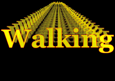 Walking